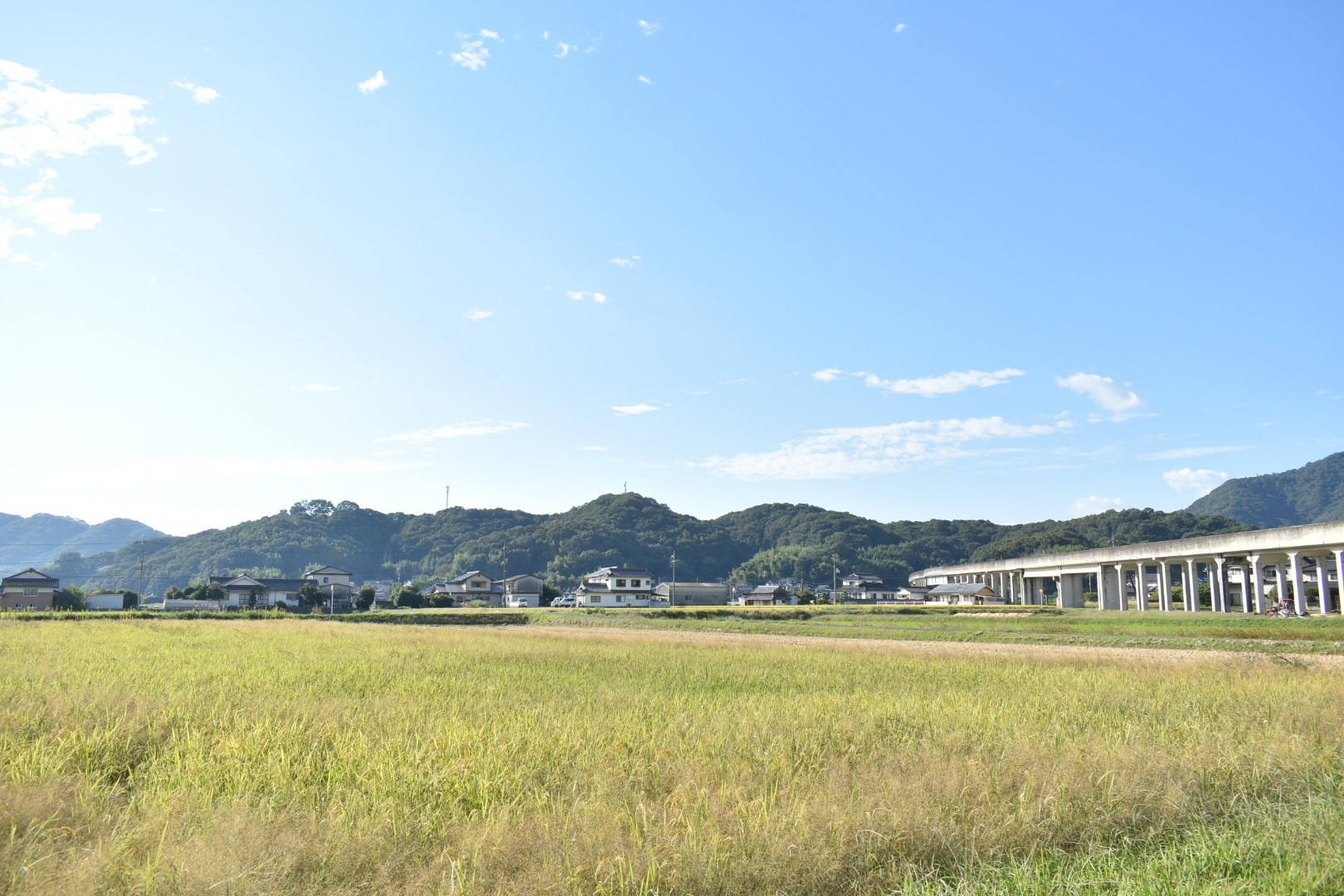 茶臼山城遠景(東側)