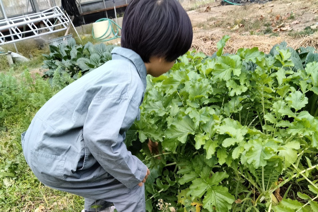 画像提供：農家民宿ほわ