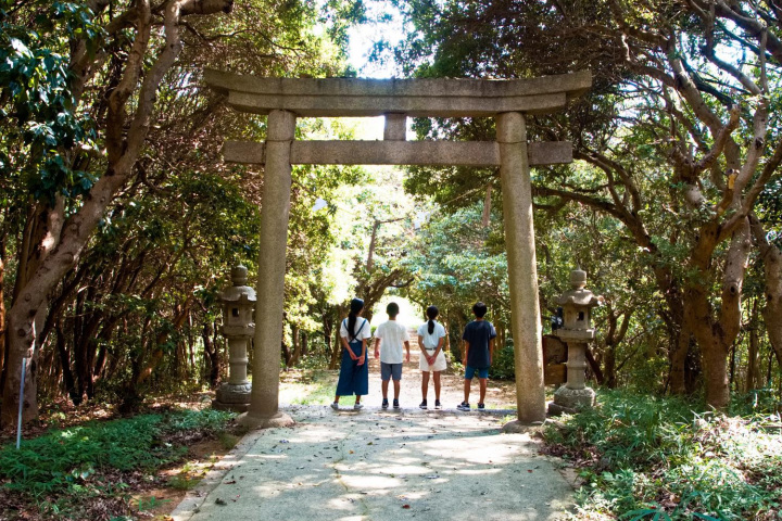 [ Undefined: coursed-title-plain ]