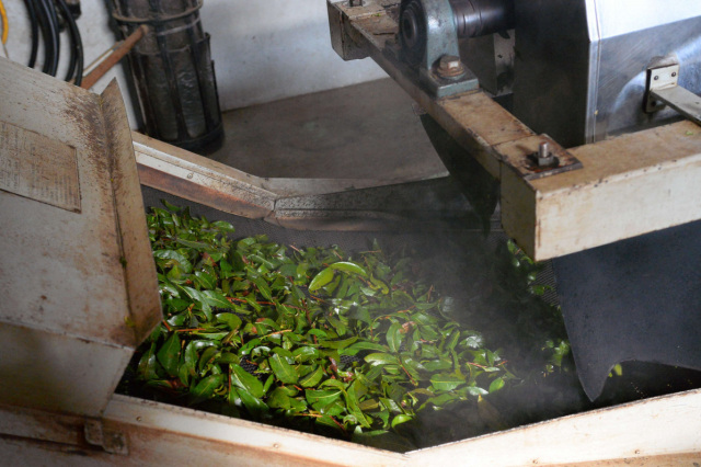 下山さんちのお茶製茶工場