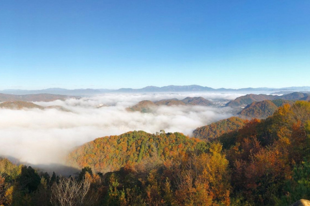 大山展望台