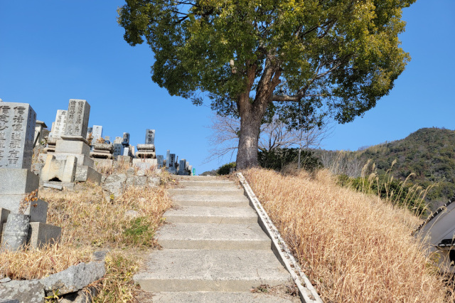 海蔵寺