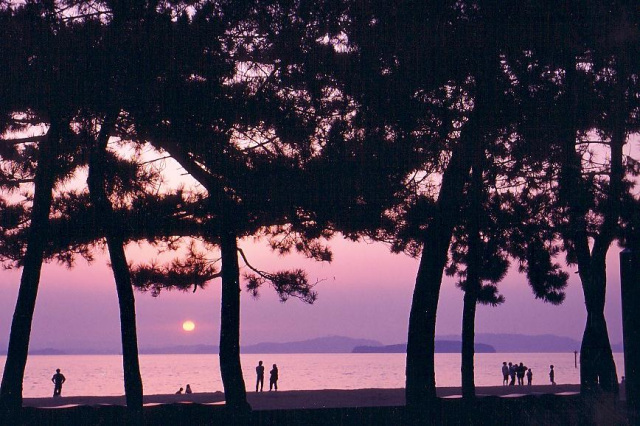 渋川海水浴場(渋川海岸)