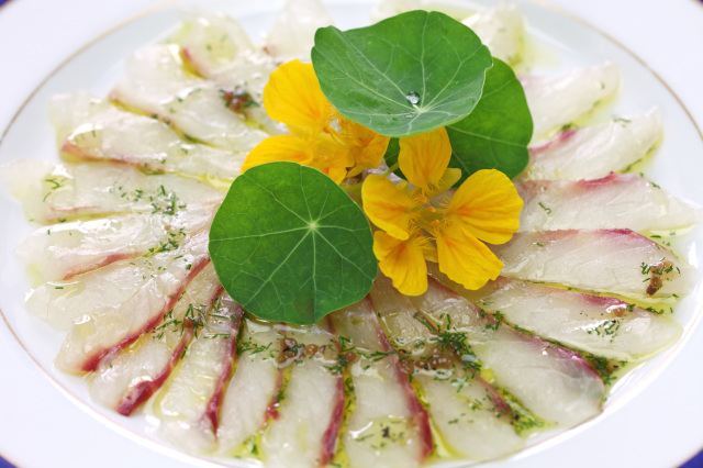 チヌ(クロダイ)/秋