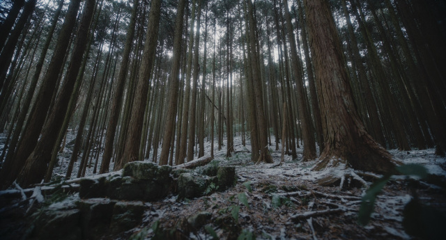 新見市土橋地区
