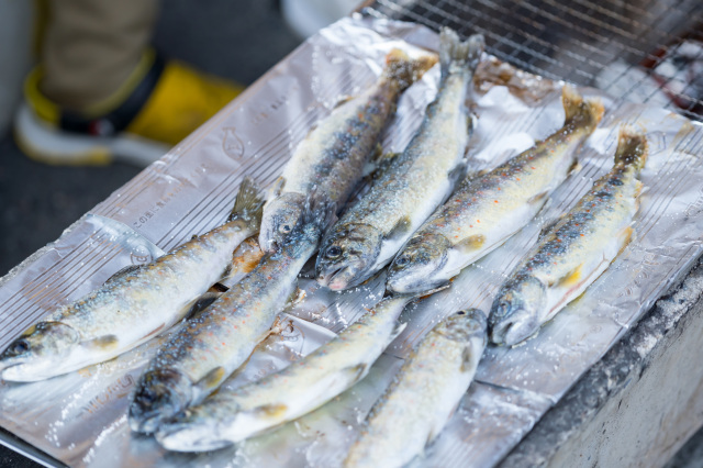 右手養魚センター