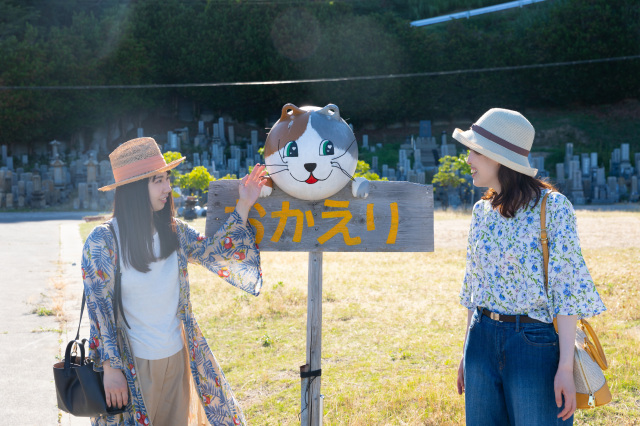 ブイ猫