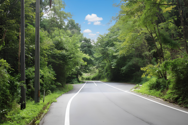 県道50号