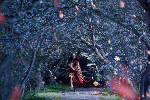 砂川桜並木