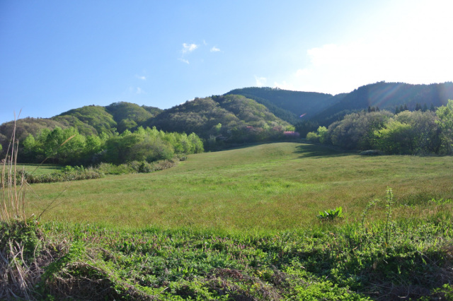 蒜山高原エリア