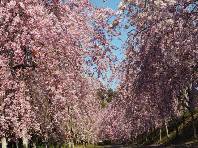 たけべの森公園（岡山市）