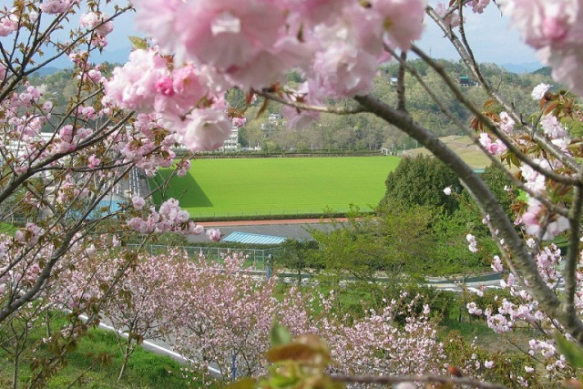 水道公園(美作市)