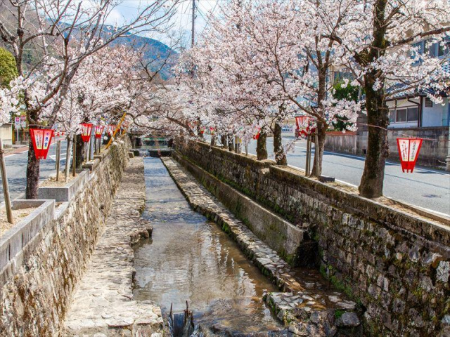 紺屋川美観地区（高梁市）