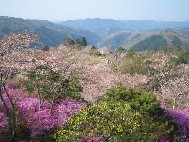 三休公園（美咲町）