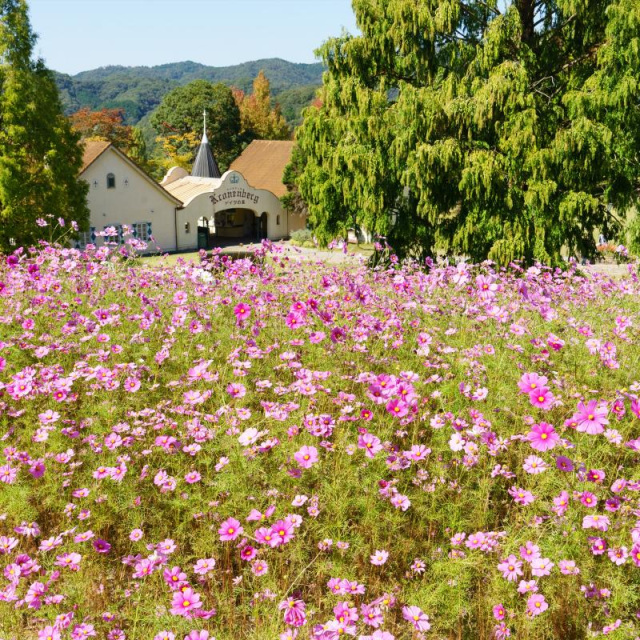 おかやまフォレストパーク ドイツの森（赤磐市）