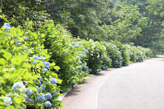たけべの森公園（岡山市）