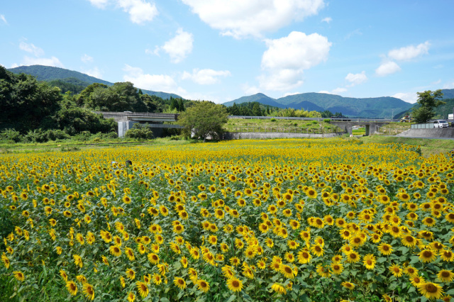 道の駅風の家（真庭市）