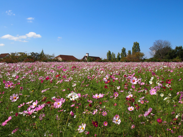 おかやまフォレストパーク ドイツの森（赤磐市）