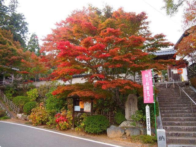 普門寺（真庭市）
