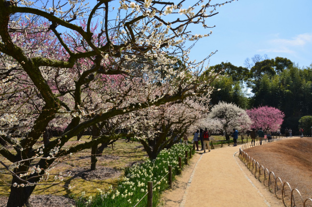 岡山後楽園（岡山市）