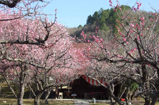山麓窯(備前市)