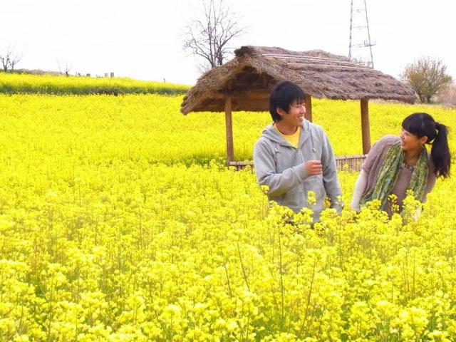 夫婦岩（高梁市）