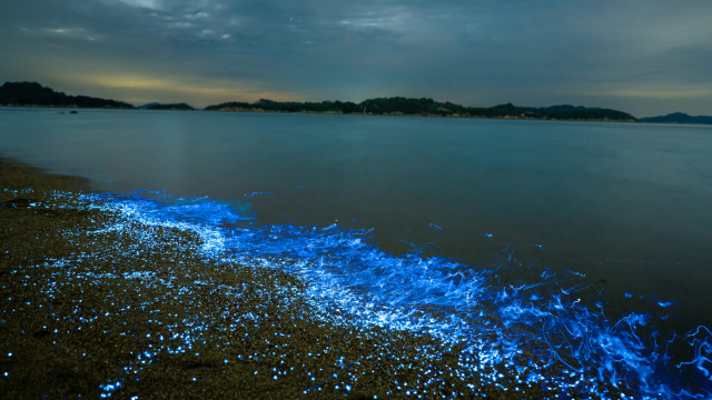 UNO HOTEL　幻想的な海ほたると温泉を楽しむホテル宿泊プラン（7/21～10/31）