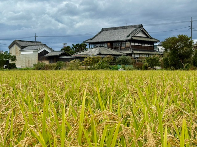 備前福岡「仲﨑邸」一般開館のお知らせ(11月)