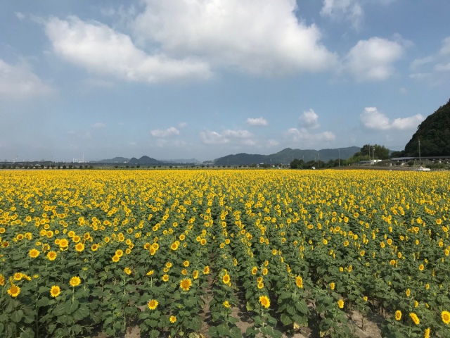 道の駅 笠岡ベイファーム