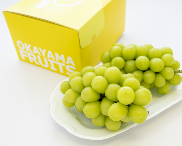 お徳用　秋の岡山県産シャインマスカット約1.2kg（2～3房）【10月下旬発送】