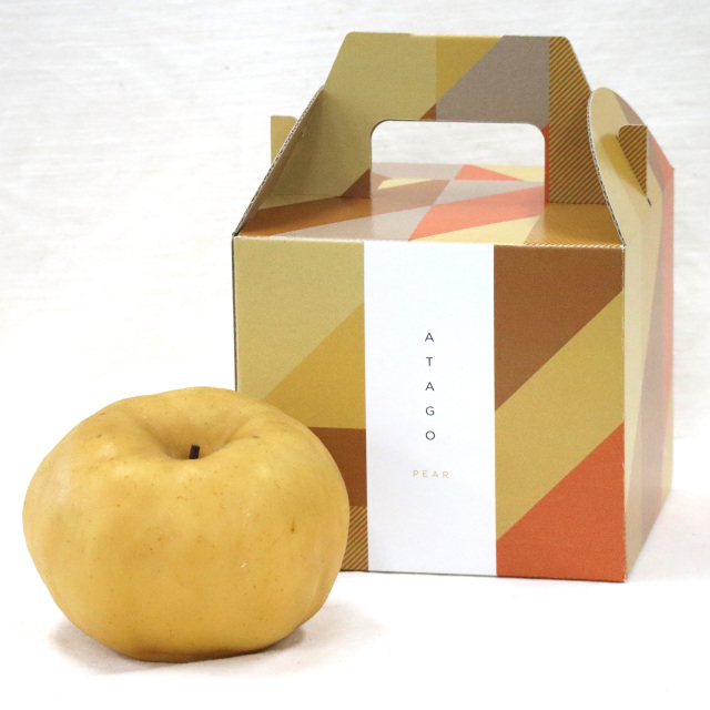 岡山県産あたご梨　大玉1玉（1.1kg）【11月下旬～12月中旬発送】