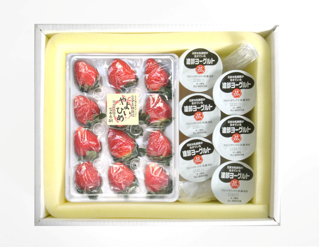 【2026年2月中旬以降発送開始】雪本さんのこだわりいちごと建部ヨーグルト詰合せ