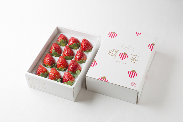 岡山県産いちご「晴苺（はれいちご）」約900g（450g×2パック）