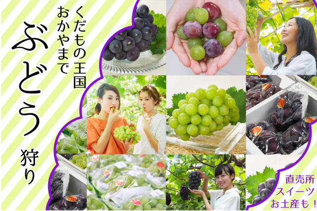 ぶどう狩り特集