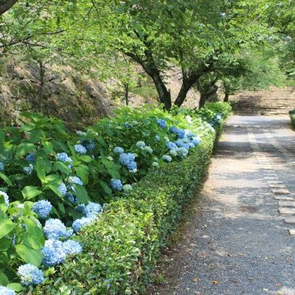 津山城（鶴山公園）
