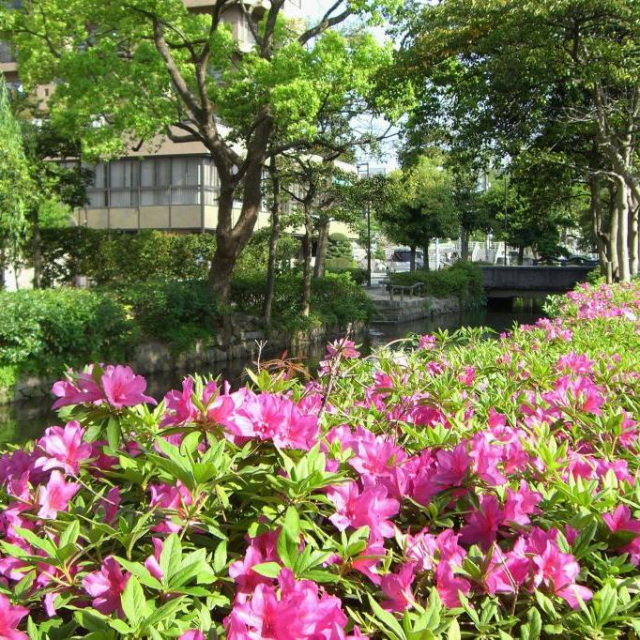 西川緑道公園・枝川緑道公園