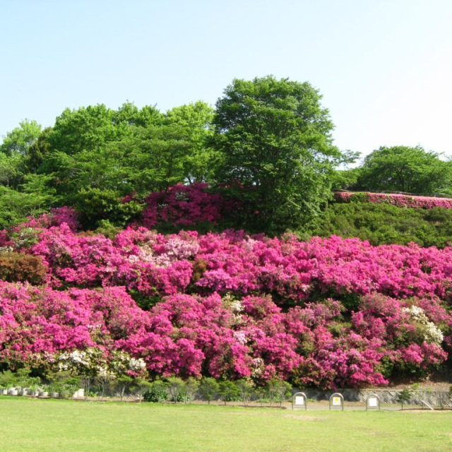 岡山市半田山植物園