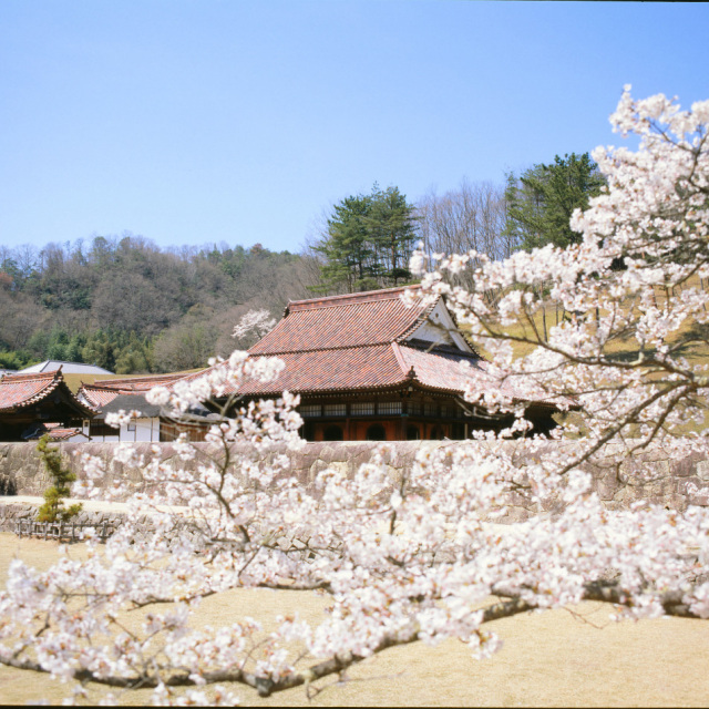 旧閑谷学校