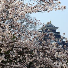 岡山後楽園