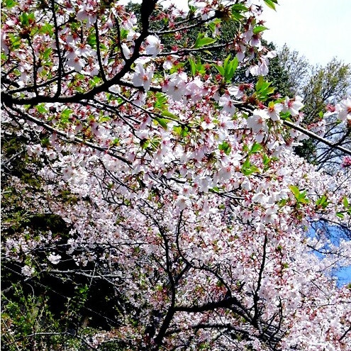 池田動物園