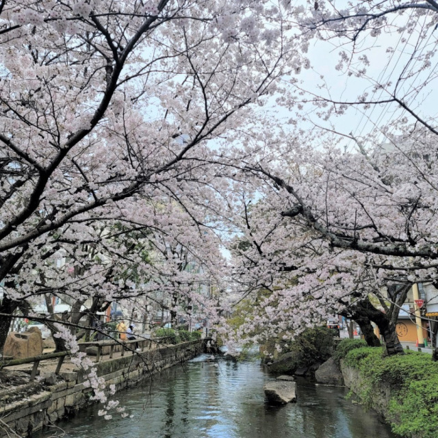 西川緑道公園・枝川緑道公園