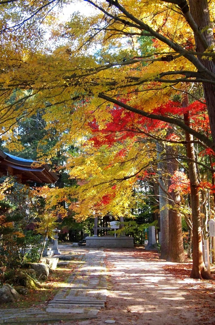観音寺（もみじ寺）