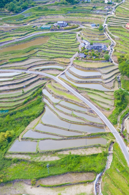 田土の棚田