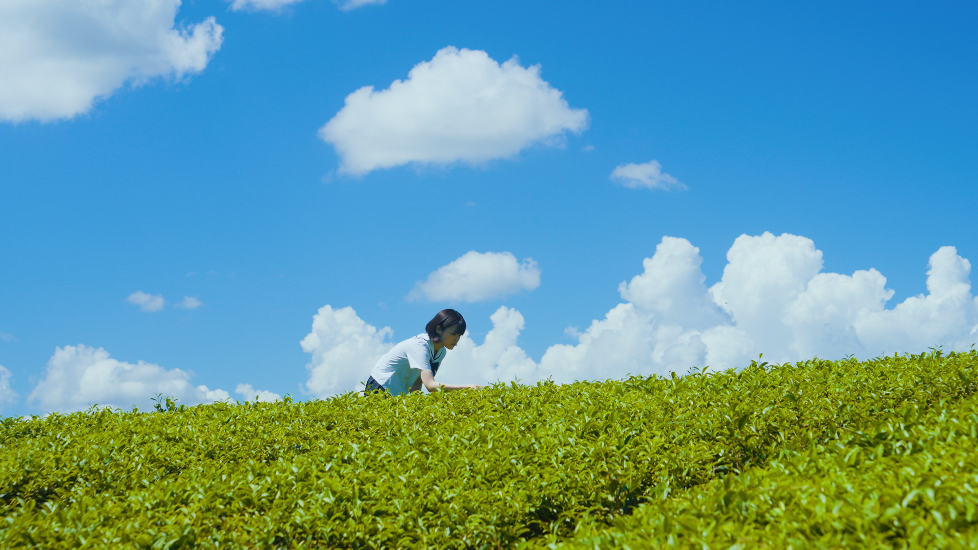 短編映画『美作物語』