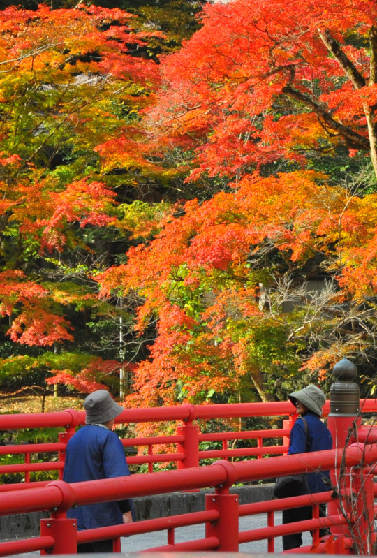 天神峡