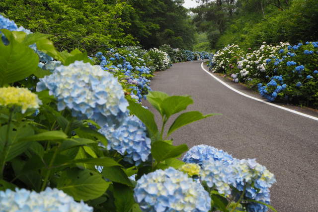 たけべの森公園