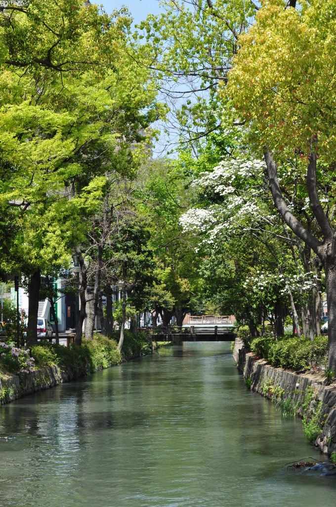 西川緑道公園（夏）