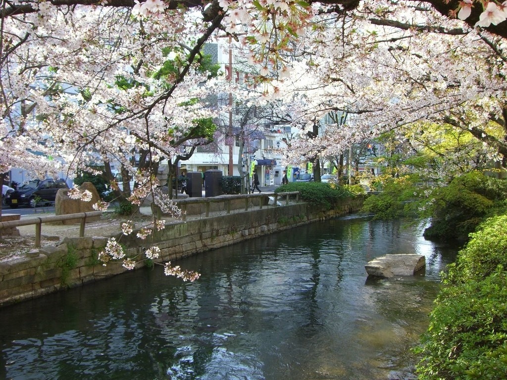 西川緑道公園（春）