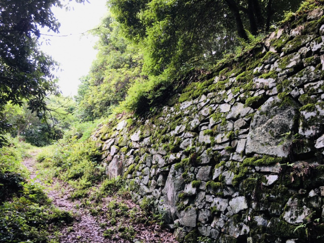 徳倉城跡（土倉城）