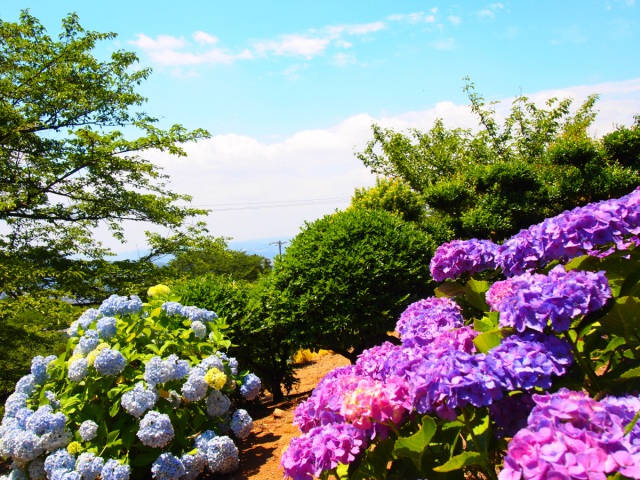 種松山公園西園地